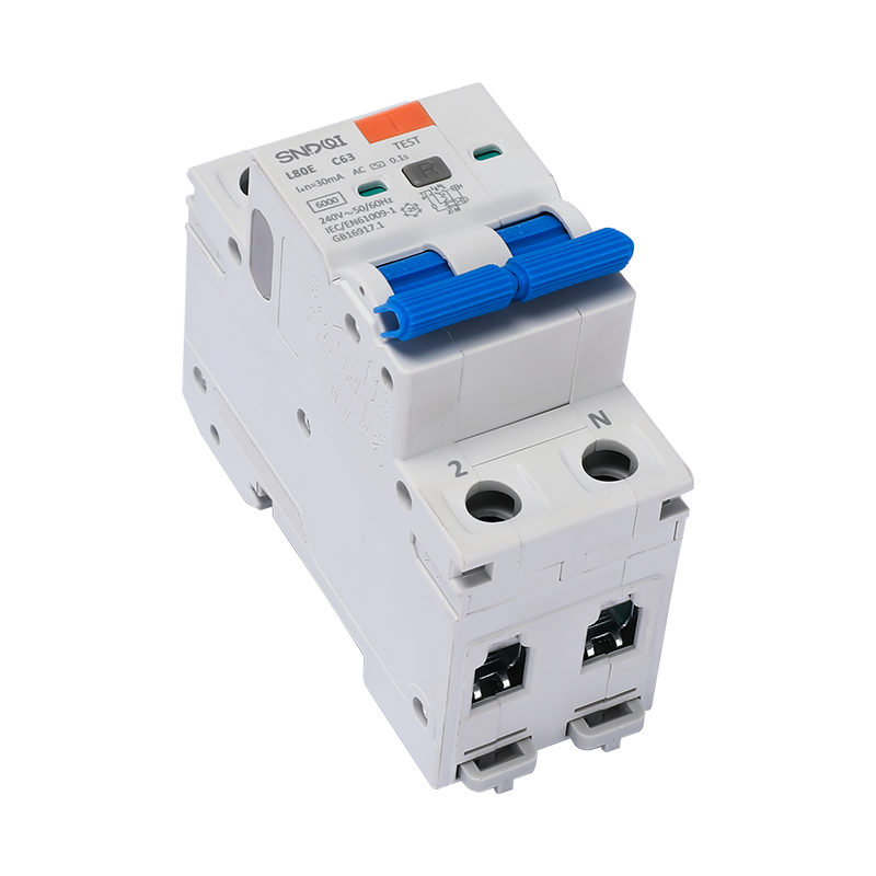 L80-Type B 漏電斷路器2P